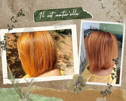 Marilyne Il Est Natur'elle Socio coiffeuse - Head Spa