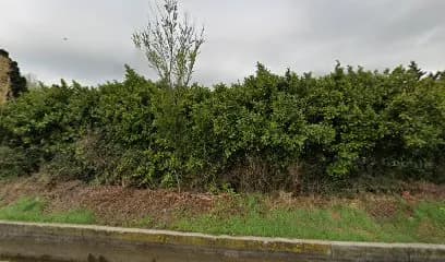 Bulle de Morphée - Head - Head Spa