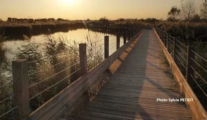 Align'&Vous - Head Spa