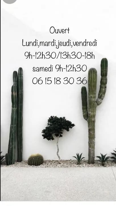 Alyna coiffure mixte et rituel head spa - Head Spa