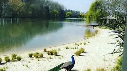 Köraly Beauté & Bien être - Head Spa