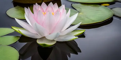 J'M BEAUTE Chantenay - Institut de Beauté - Head Spa