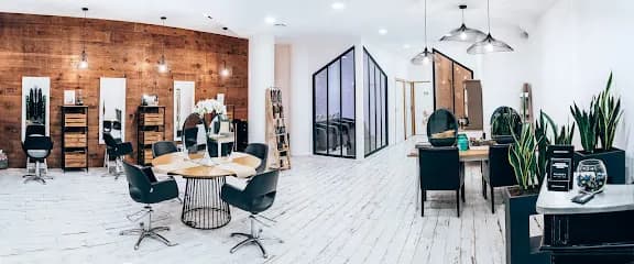 Color Of The Senses - Head Spa