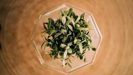 Naïa Spa Verdurier - Spa & Massage - Head Spa - Head Spa