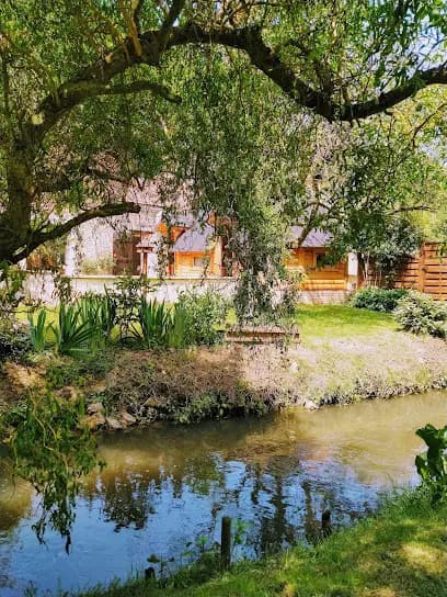 Massages au fil de l eau - Head Spa